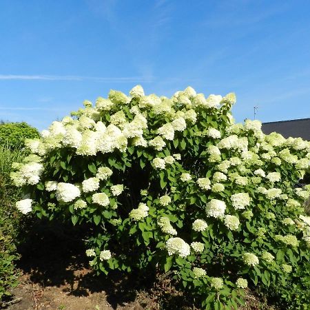 Gite La Grenouillere Esqueheries Exterior foto