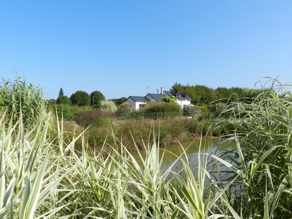 Gite La Grenouillere Esqueheries Exterior foto