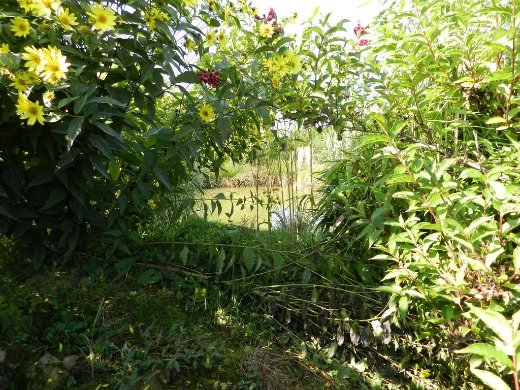 Gite La Grenouillere Esqueheries Exterior foto