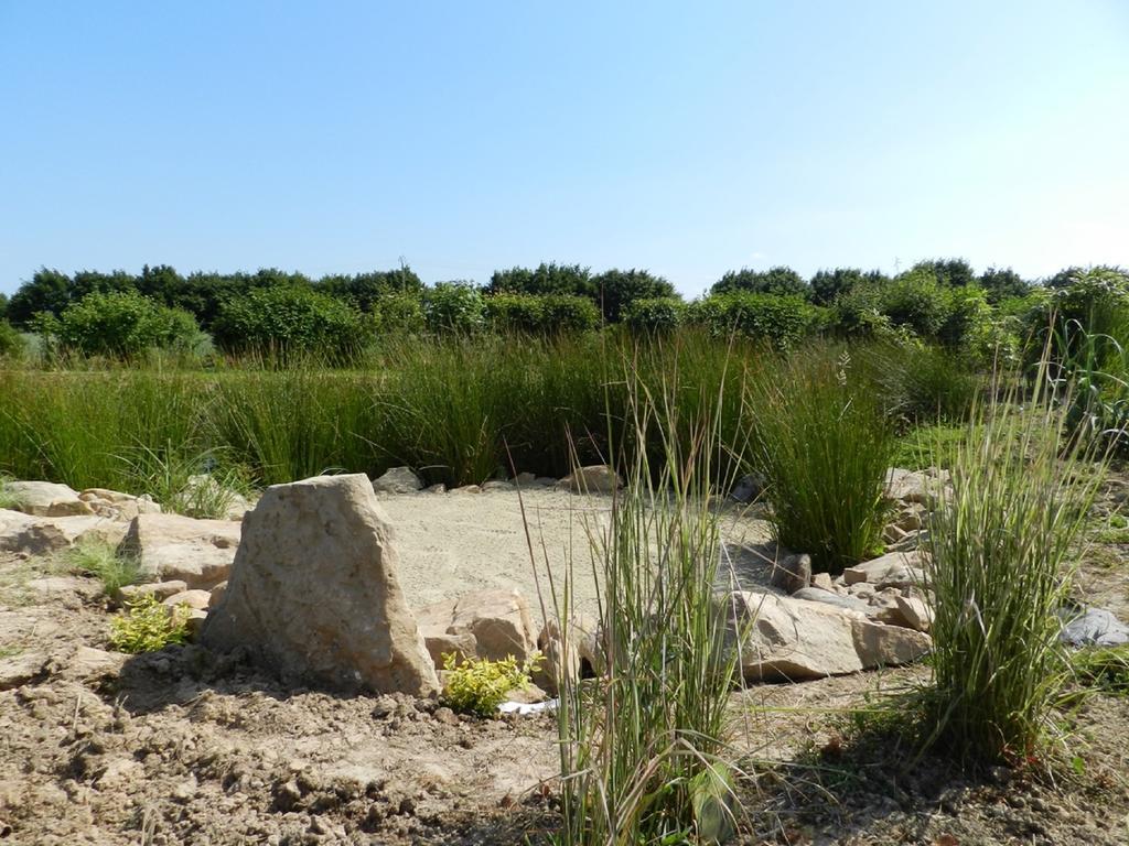 Gite La Grenouillere Esqueheries Exterior foto