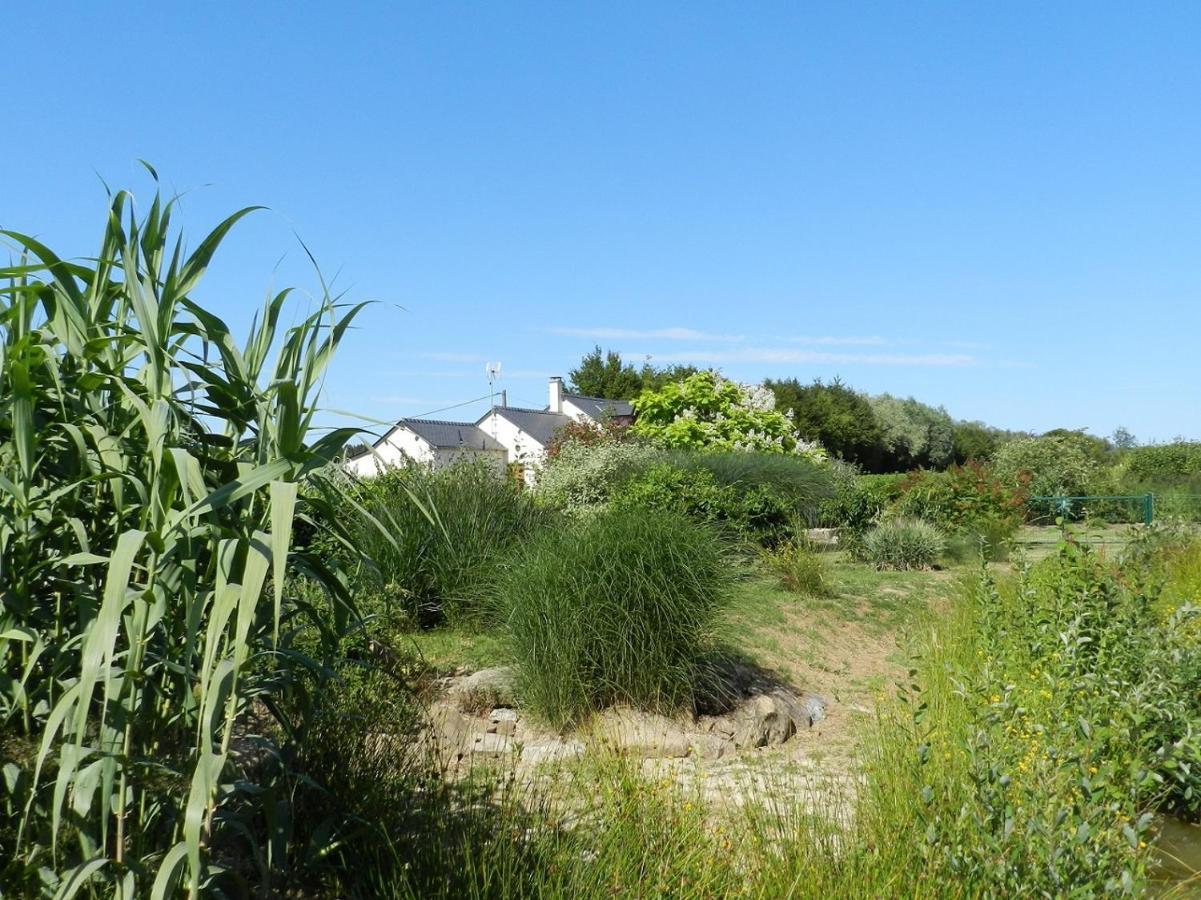 Gite La Grenouillere Esqueheries Exterior foto