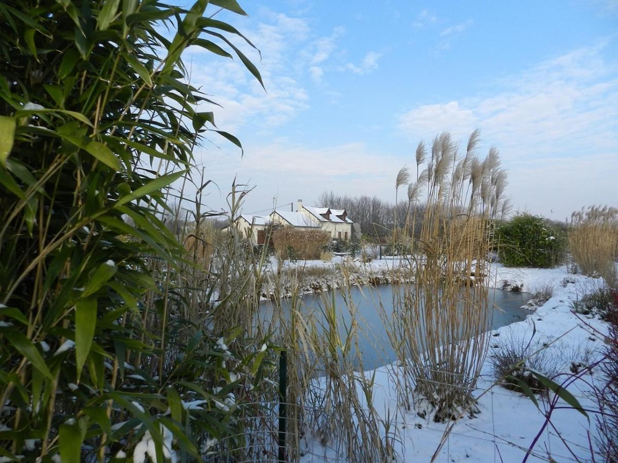 Gite La Grenouillere Esqueheries Exterior foto